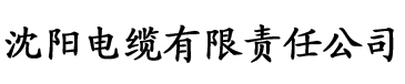 亚洲精品国产二区三区在线观电缆厂logo